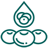 icon service one